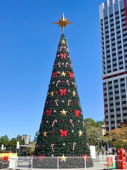 クリスマスホリデー休診期間のお知らせ